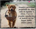 /album/fotogaleria/ayudar-a-otros-jpg/